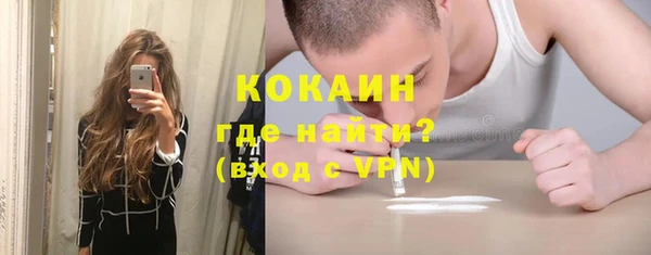 шишки Алзамай
