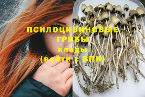 шишки Алзамай